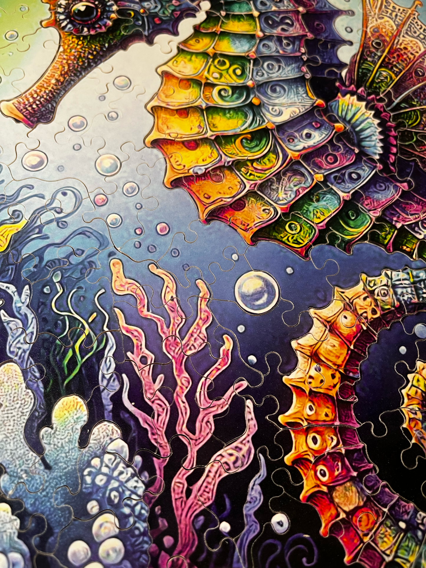 Under The Sea