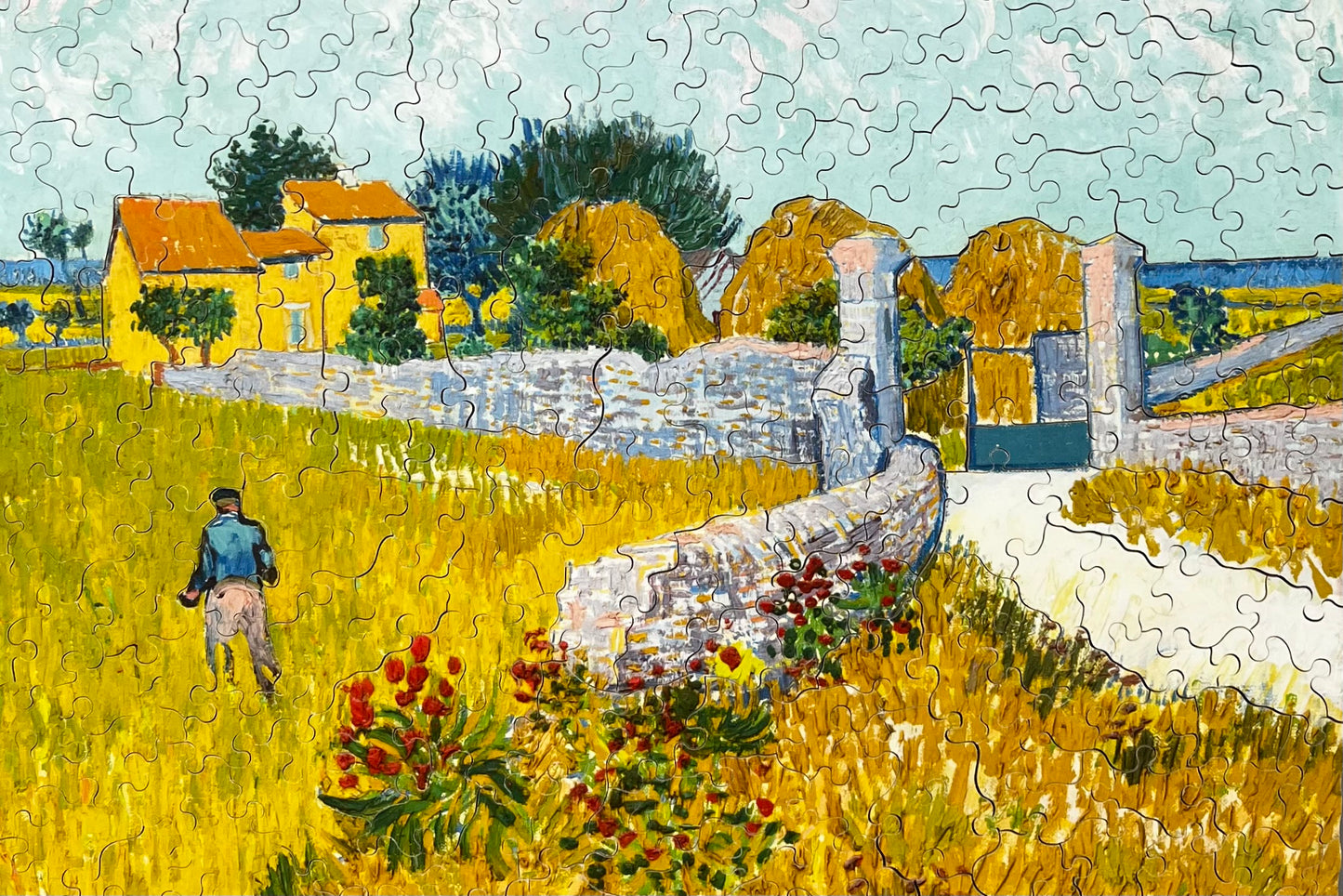 Farmhouse in Provence