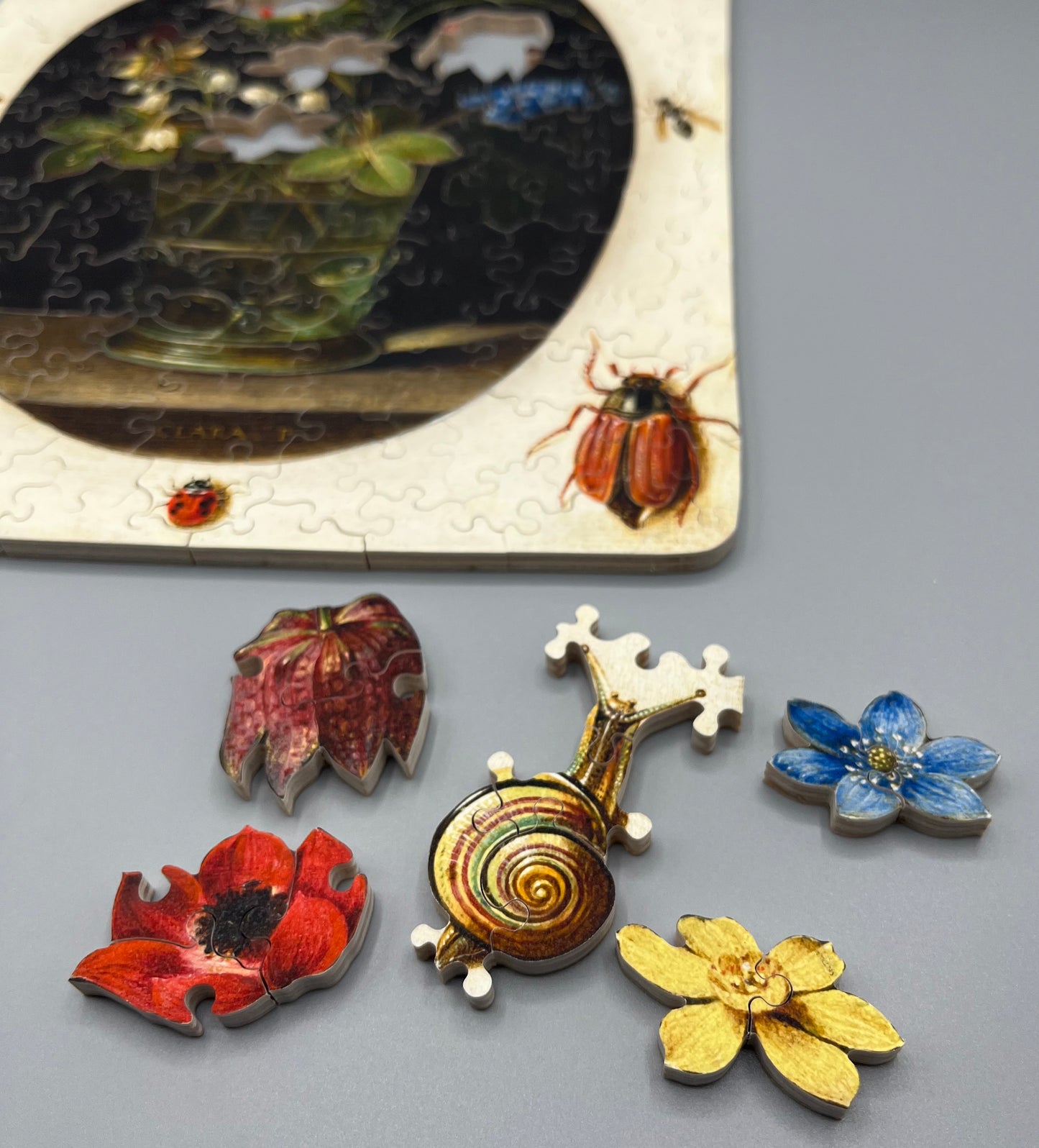 Still Life with Flowers Surrounded by Insects and a Snail